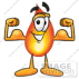 muscles.png